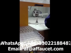 4 heads 8 stations- atuomatic  brushing machine